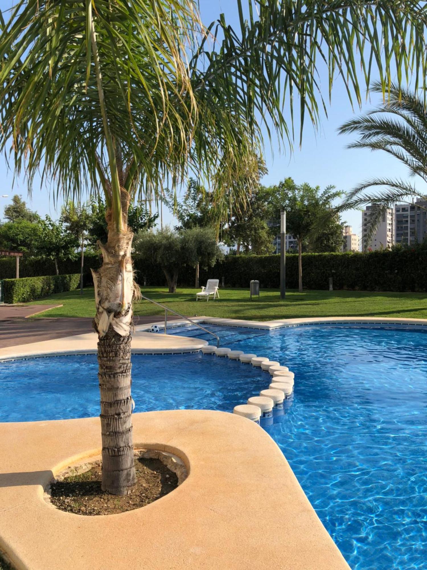 New Apartment In San Juan Playa, Alicante Pau5 Екстер'єр фото